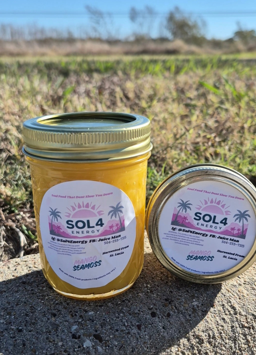Sol4 Wildcrafted Sea Moss: Nature's Essential Superfood